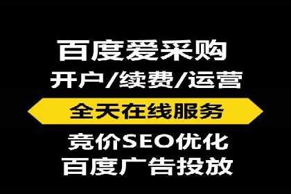 竞价推广代运营：成功案例解析